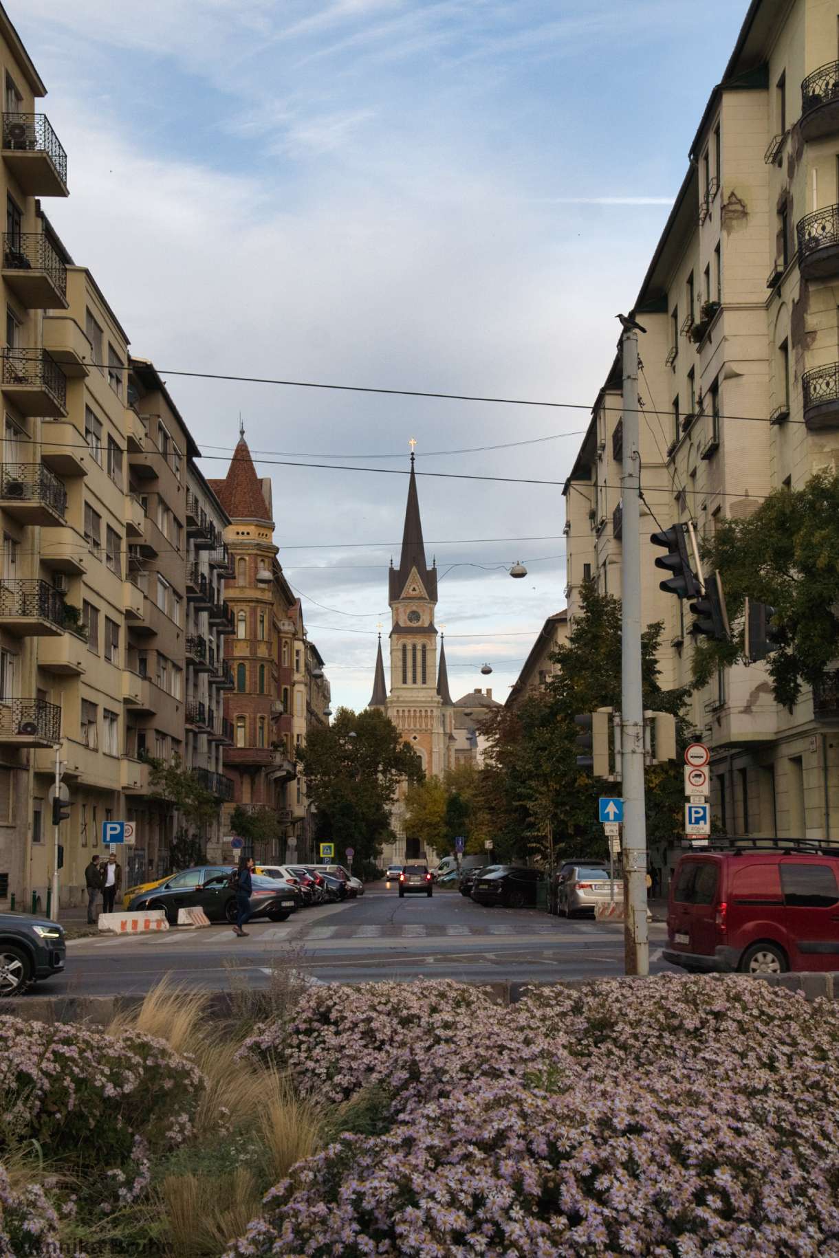 St. Francis of Assisi Parish Church